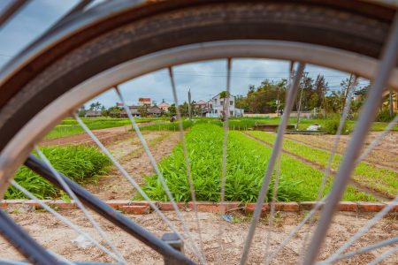 Groentedorp fietsen Hoi An Centraal-Vietnam