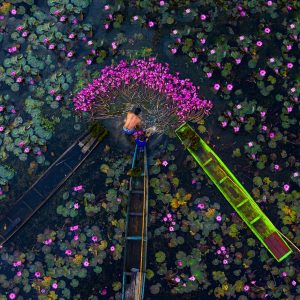 Varen plantages Mekong Delta Zuid-Vietnam