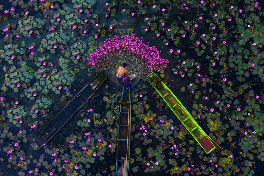 Varen plantages Mekong Delta Zuid-Vietnam