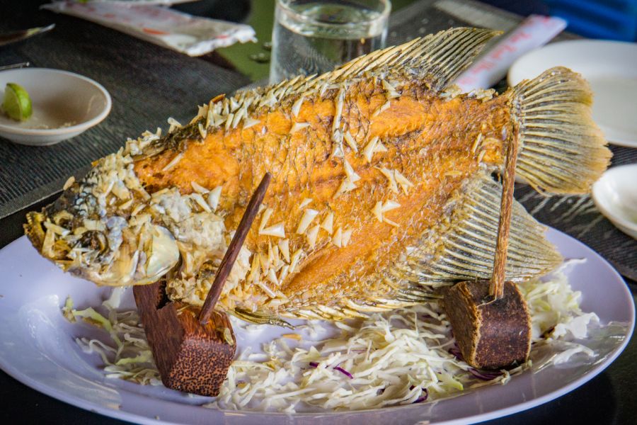 Eten elephant ear fish Mekong Delta Zuid-Vietnam