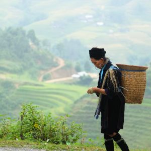 Trekking lokale bevolking rijstvelden rijstterassen Sapa Noord-Vietnam