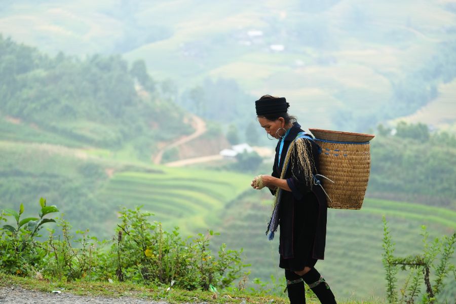Trekking lokale bevolking rijstvelden rijstterassen Sapa Noord-Vietnam
