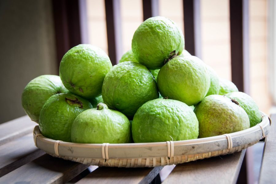 Guava fruit eten Vietnam