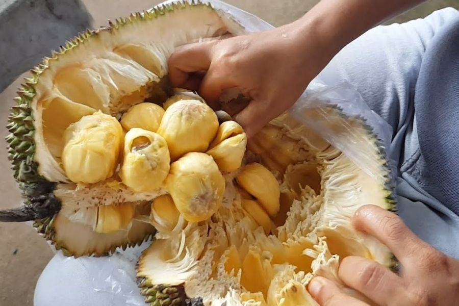 Jackfruit fruit eten Vietnam