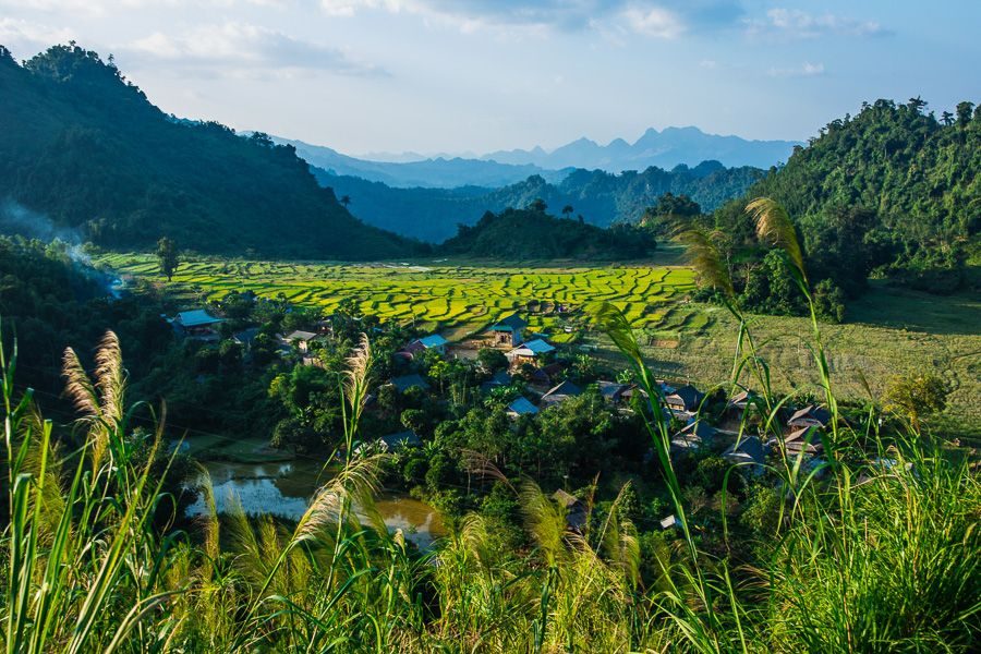 Rijstvelden rijsterassen Mai Chau Noord-Vietnam