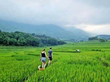 Inh La Home Pu Luong
