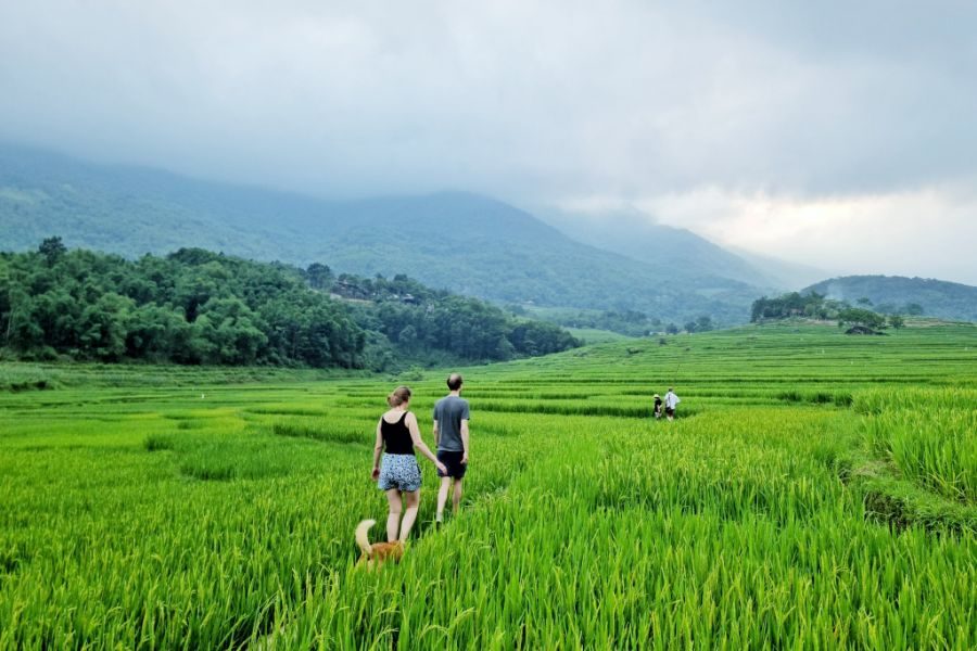 Inh La Home Pu Luong