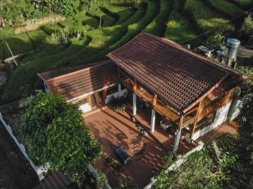 Lucky Daisy Buffalo House Sapa