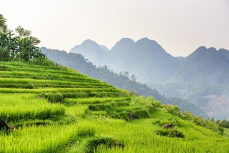 Pu Luong Rijstvelden Noord-Vietnam