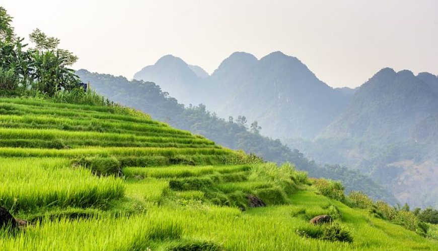 Pu Luong Rijstvelden Noord-Vietnam