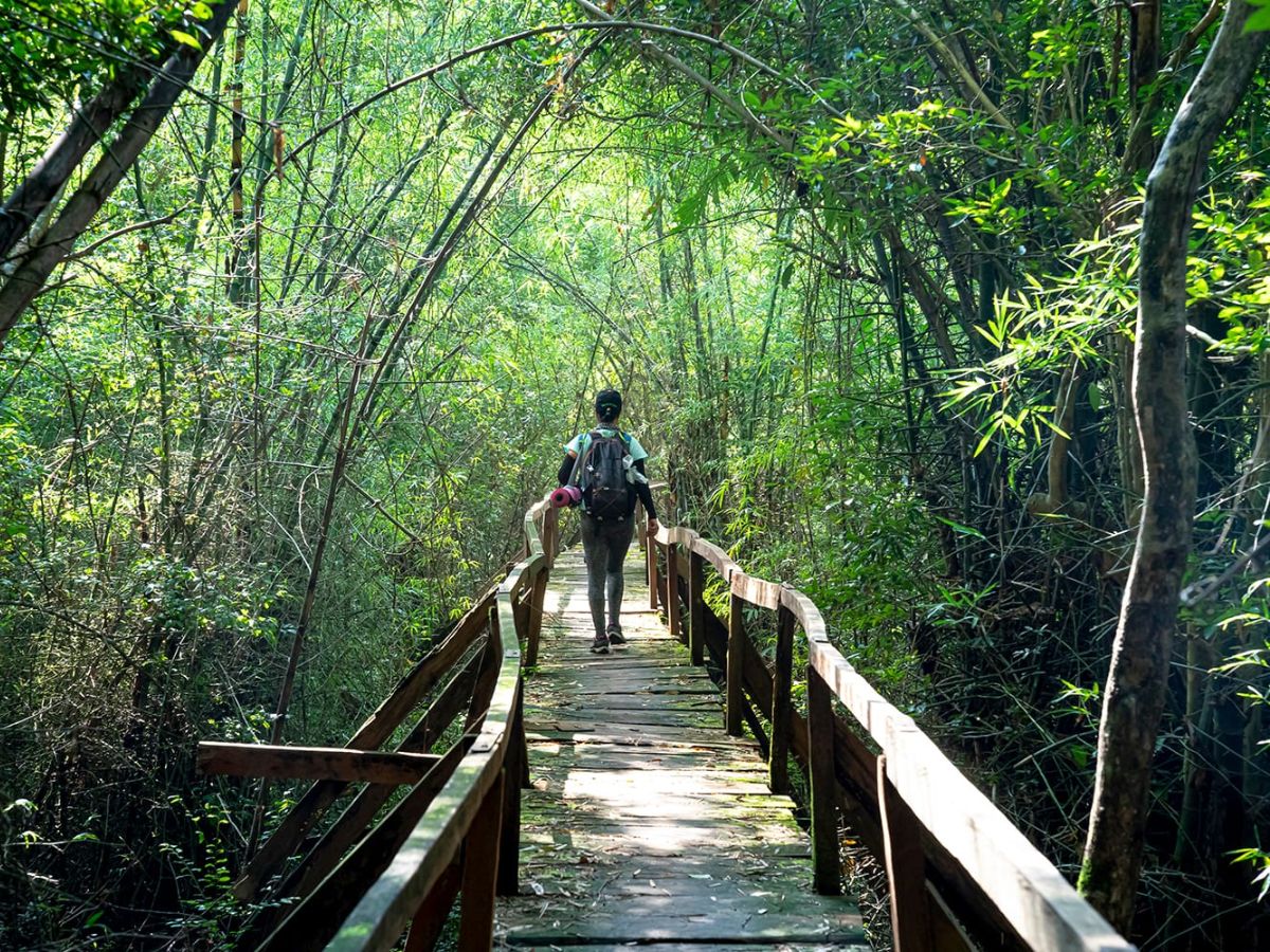 Wandelen Cat Tien National Park Zuid-Vietnam
