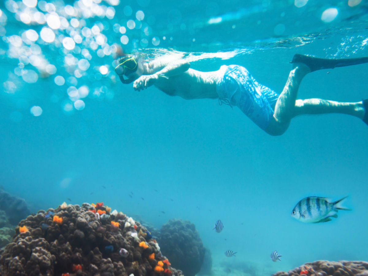 Zee snorkelen Whale Island Zuid-Vietnam