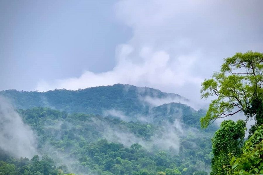 Vu Quang National Park 1