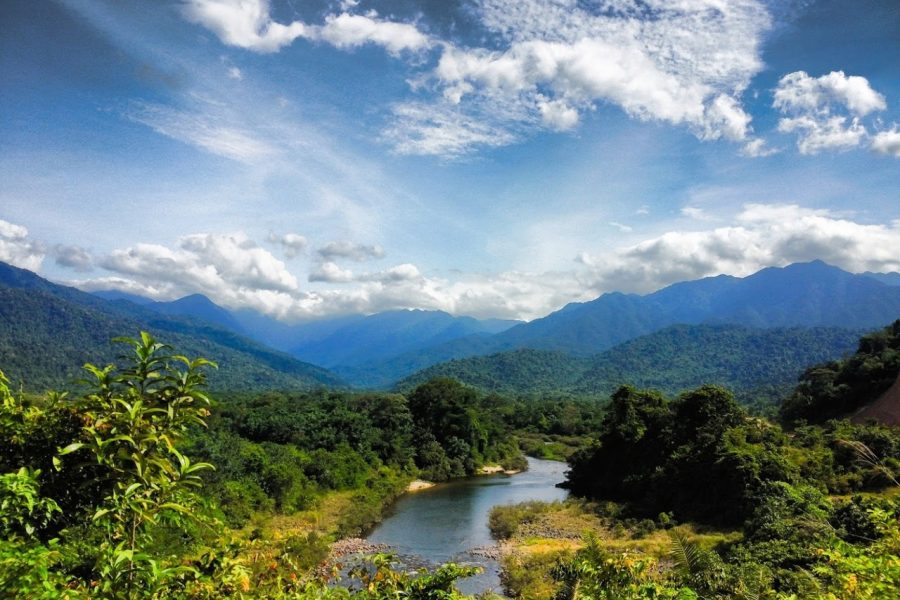 Vu Quang National Park 2